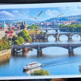 pusle praha.webp